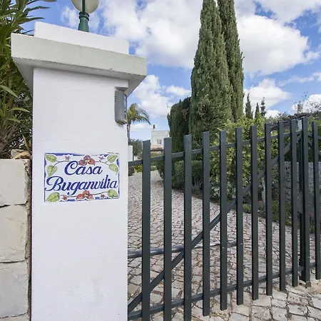 Buganvilia